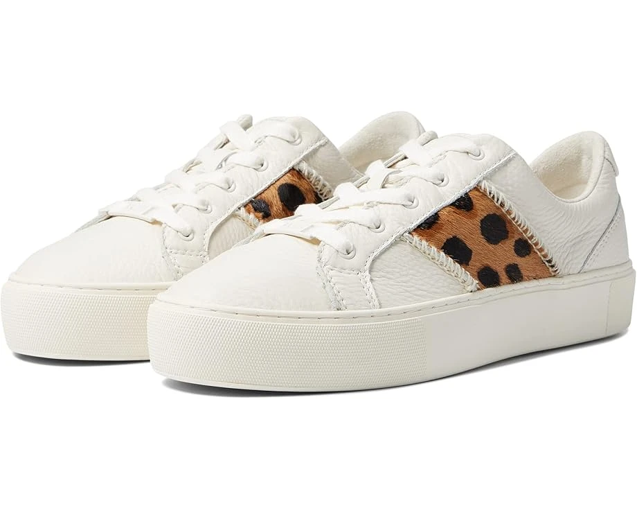 UGG Dinale UGG Dinale -Ugg 61sfVbLVofL. AC SR920736